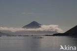 Hornsund