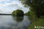 Karpendonkse Plas