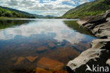 Killarney National Park