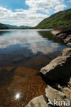 Killarney National Park