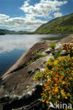 Killarney National Park