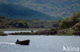 Killarney National Park