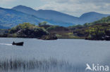 Killarney National Park