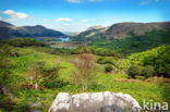 Killarney National Park