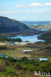 Killarney National Park