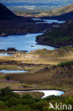 Killarney National Park