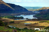 Killarney National Park