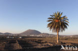 Lanzarote