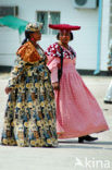 Maun