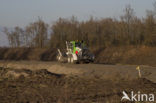 Nationaal Park de Biesbosch