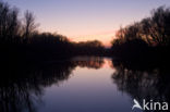 Nationaal Park de Biesbosch