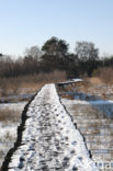 Nationaal Park de Groote Peel