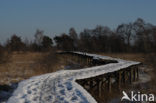 Nationaal Park de Groote Peel