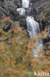 Fulufjället National Park
