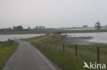 National Park Oosterschelde