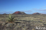 Parque Natural De Los Volcanes