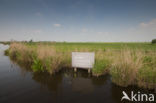 Polder Westzaan