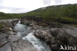 Abisko National Park