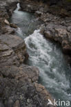 Abisko National Park