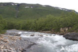 Abisko National Park