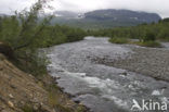 Abisko National Park