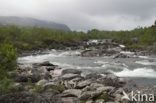 Abisko National Park