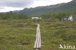 Abisko National Park