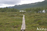 Abisko National Park