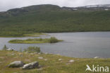 Abisko National Park