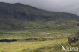 Abisko National Park