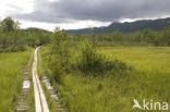 Abisko National Park