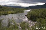 Abisko National Park