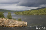 Abisko National Park