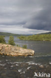 Abisko National Park