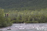 Abisko National Park