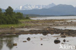 Anderdalen national park