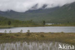 Anderdalen national park