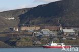 Barentsburg