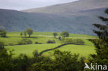 Brecon Beacons National Park