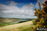 Brecon Beacons National Park