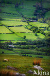 Cambrian Mountains