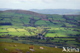 Cambrian Mountains