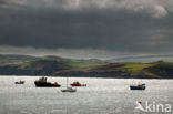 Fishguard