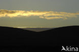 Fuerteventura