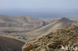 Fuerteventura