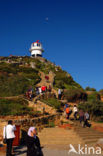 Cape of Good Hope