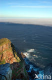 Cape of Good Hope