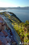 Cape of Good Hope