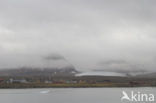 Kongsfjord