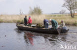 Nationaal Park Weerribben-Wieden